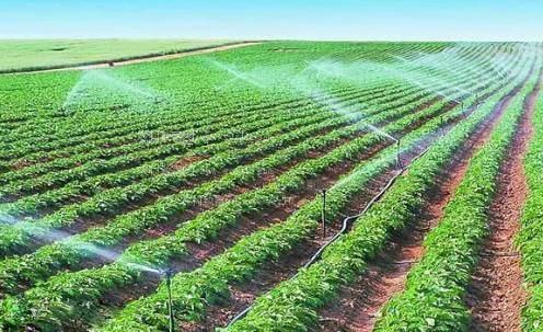 男女性杂交内射妇女BBwxz农田高 效节水灌溉